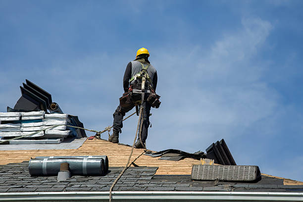 Professional Storm Damage Roof Repair technician working in Memphis, FL